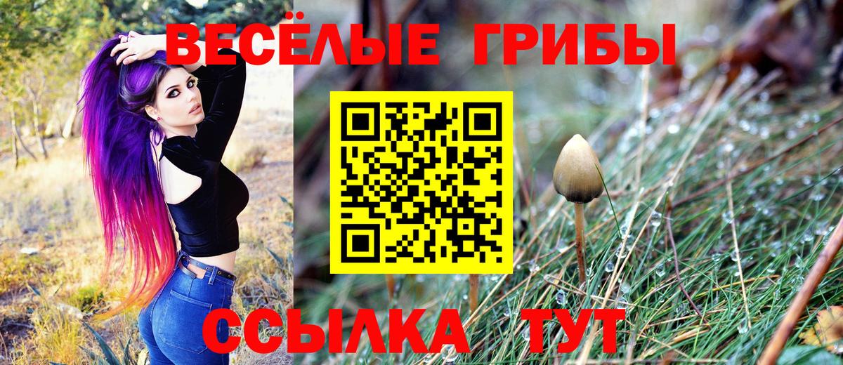 Псилоцибиновые грибы Cubensis  Вход с VPN  магазин продажи наркотиков  Кудымкар 