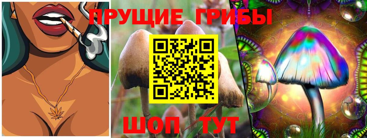 Псилоцибиновые грибы прущие грибы Кудымкар